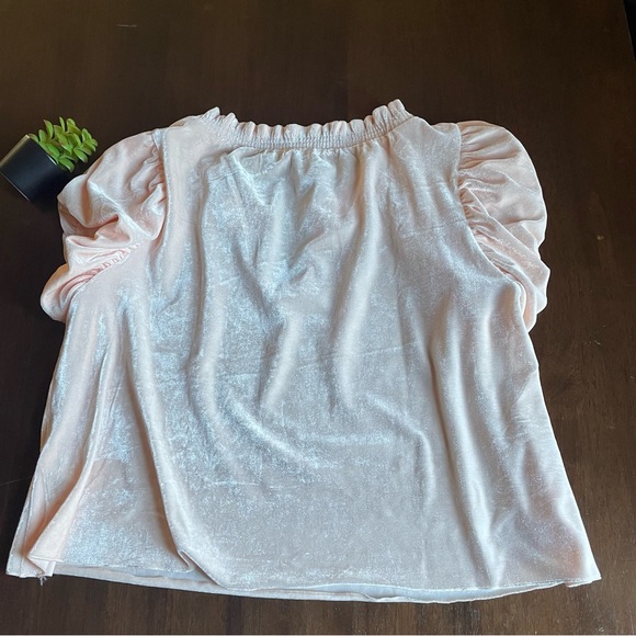 Free People Terese Pink Tint Velvet Top Size Medium - Picture 3 of 10